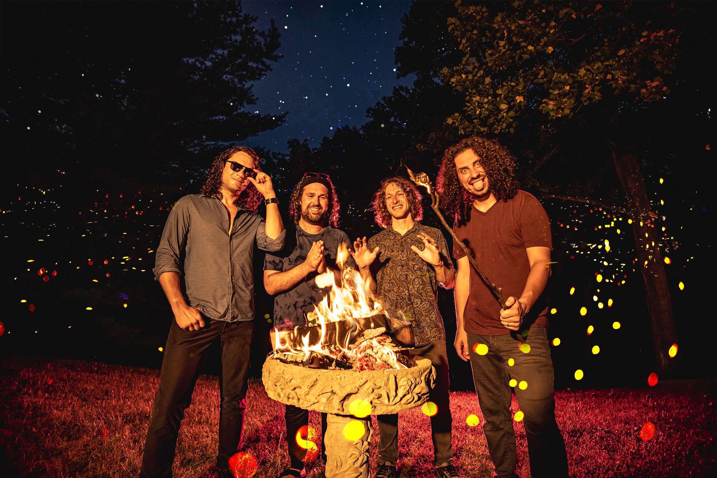 Pigeons Playing Ping Pong